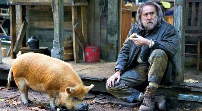 „Cum ar fi dacă m-aş retrage în pădure?”, filmul Pig (2021) îți răspunde Filmul Pig - Nicholas Cage
